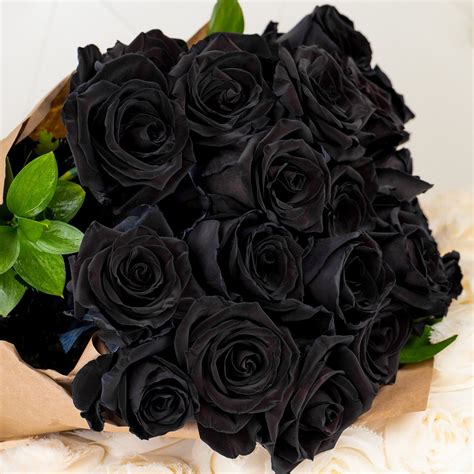 Black Rose Black Bouquet Hd Image Rose Flowers 848