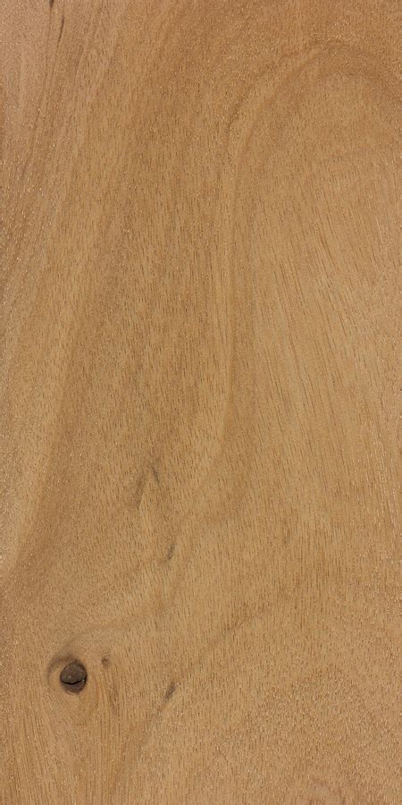Pacific Maple The Wood Database Lumber Identification Hardwood