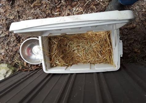 Stray cat shelter — springtime memories 04:50. Low- (or Zero-) Budget Shelter for a Stray Cat - DIY ...