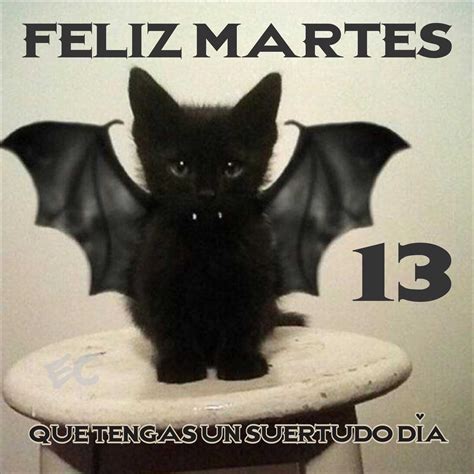 Feliz Martes 13 Funny Cute Cats Halloween Memes Halloween Funny