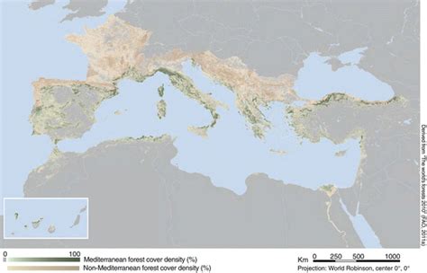 Introduction To Mediterranean Forest Systems Mediterranean Basin