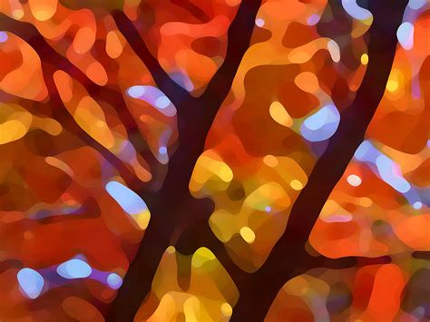 Abstract Fall Tree Light Painting By Amy Vangsgard Fine Art America