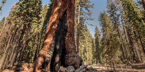 Winter park is known as the city of culture and heritage. Points of Interest | Yosemite National Park ...