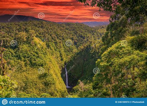 Rain Forest Blue Waterfall In Costa Rica Stock Photo Image Of