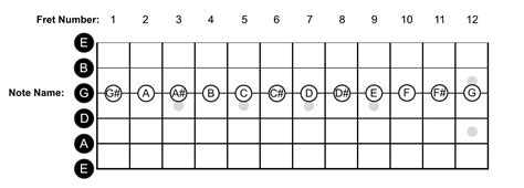 Learn The Notes On The Guitar » Lead Guitar Lessons | Lead guitar lessons, Guitar lessons, Basic ...
