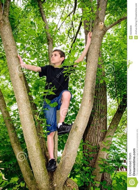 Boy Climbing Tree Looking To Left Download From Over 45 Million High