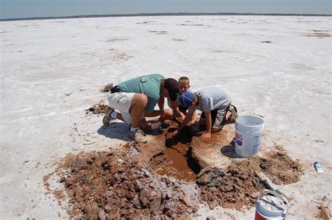 Dig For Crystals At Oklahomas Great Salt Plains Amusing Planet