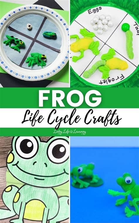 Frog Life Cycle Crafts Story Living Life And Learning