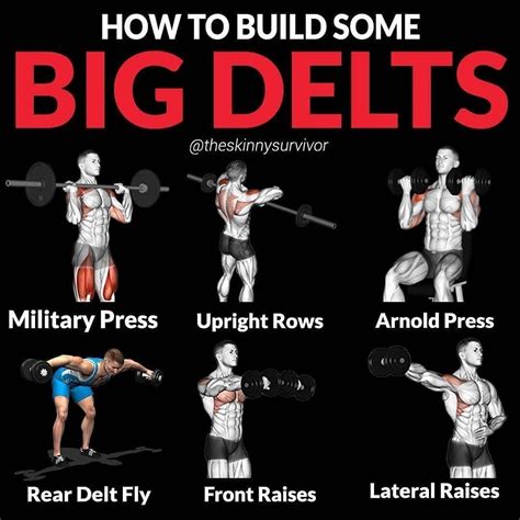 Define Your Delts With The Best Shoulder Exercises Devised Gymguider