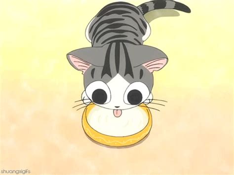 Chi The Cat Anime Amino