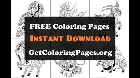 year   dog coloring page youtube