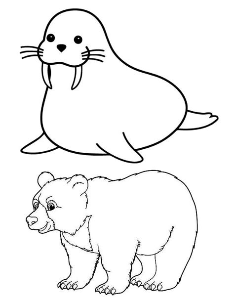 Polar Animals Coloring Pages