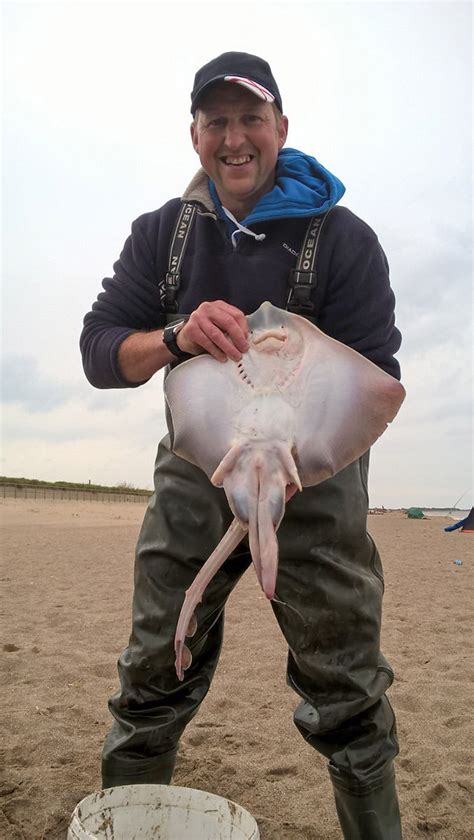 Skegness Pier Angling Club May 2016 Planet Sea Fishing