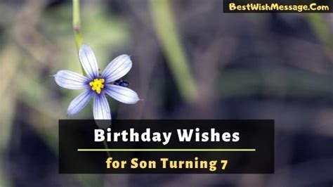 Heartfelt birthday wishes for son: 21+ Birthday Wishes for Son Turning 7 | 7th Birthday Wishes