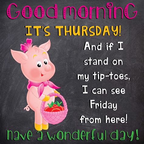 Good Morning Its Thursday And If I Stand On My Tip Toes I Can See