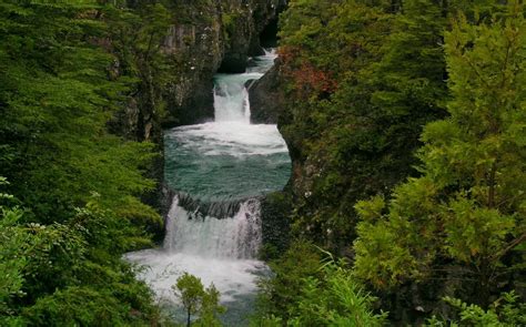 Nature Landscape Chile Forest River Waterfall Canyon Shrubs Green Trees