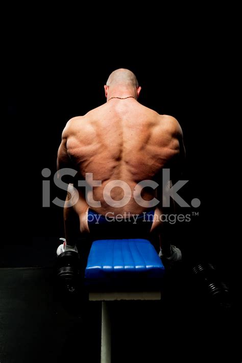 Muscular Male Back Stock Photo Royalty Free Freeimages