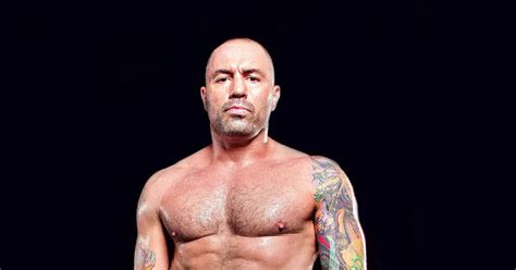 Did Joe Rogan Fight Professionally And What Was His Record