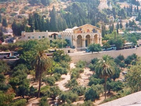 It is a place of great resonance in christianity. Bild "Kirche der Nationen und der Garten Gethsemane" zu ...