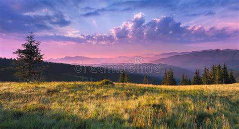 Beautiful Morning Landscape Royalty Free Stock Photo Image 16272345