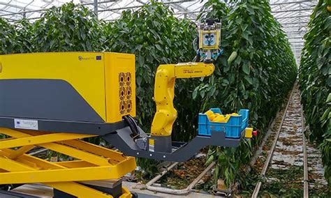First Demonstration New Sweet Pepper Harvesting Robot In The Greenhouse