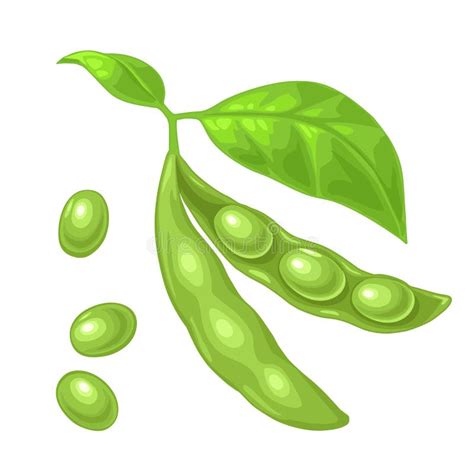 Soya Bean Pod Soybean Flat Vector Icon Stock Illustration