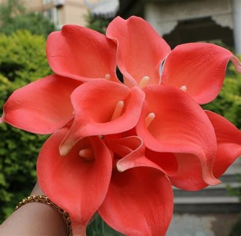 Deep Coral Bouquet Flowers Real Touch Calla Lily Coral Bouquet For