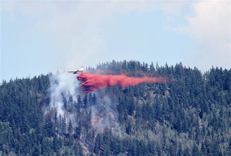 Wildfires Near Vernon Extinguished Salmon Arm Observer