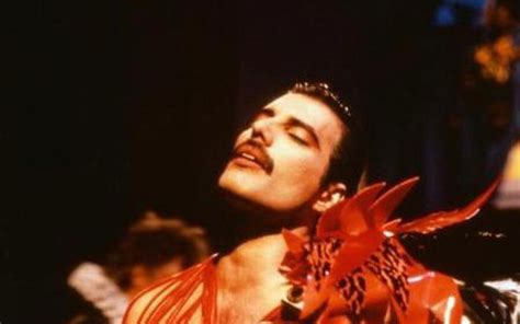 31 Anos Da Morte De Freddie Mercury Star Celebra A Vida Do Cantor