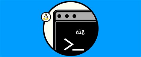 Comando Dig Linux Opciones Y Ejemplos Dns Solvetic