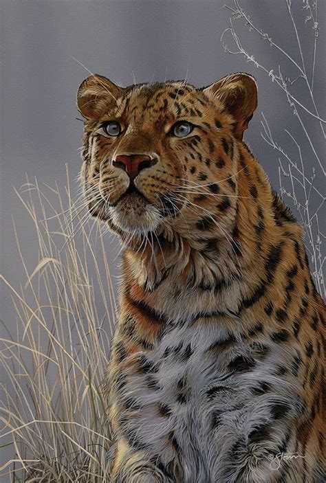 Amur Leopard Wildlife Painting By Scot Storm Wildlife Paintings