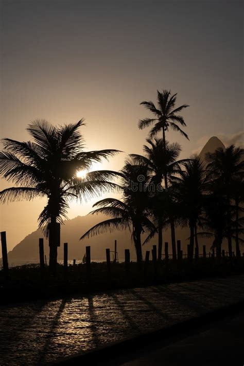 Sunset Over Palm Trees Silhouettes In Ipanema Beach In Rio De Janeiro