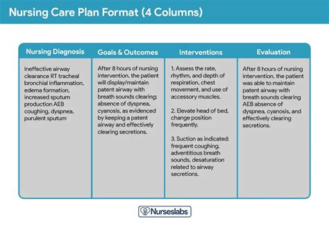 Nursing Plan Of Care Examples