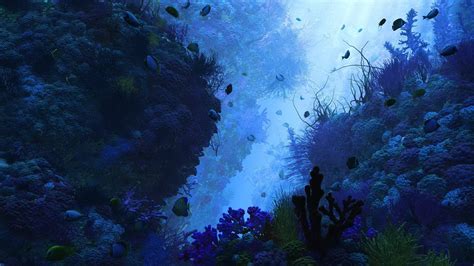 Artistic Underwater Hd Wallpaper