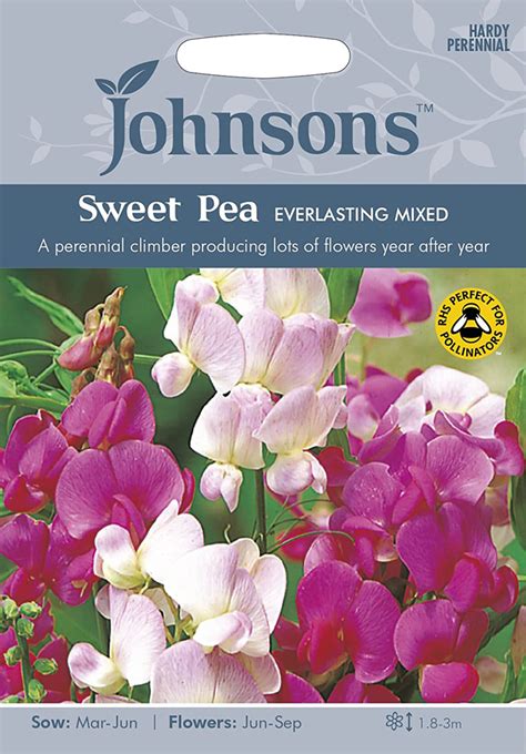 Sweet Pea Seeds Everlasting Mixed By Johnsons Uk