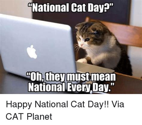 I assume that means i need to call my best friend and buy her a green tea from starbucks, but i also think it means you need to send your bestie a fun meme or two. National Cat Day? Oh They Must Mean National EveryDay ...