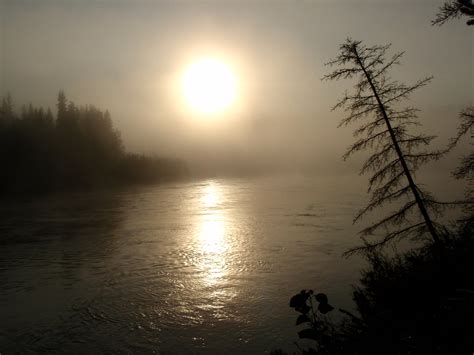 Morning Mist On Yukon River Exploring Canada Far North Flickr