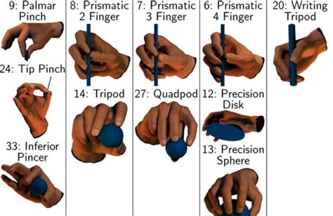 Image Result For Types Of Grasp
