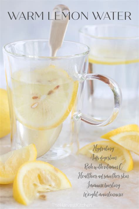 Lemon Water Recipe In 2020 Lemon Water Infused Water Recipes Warm
