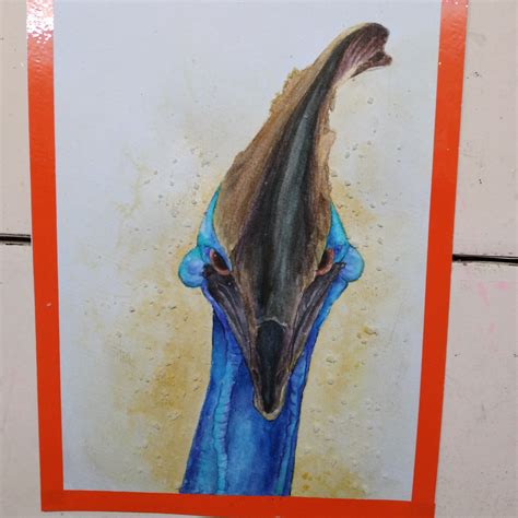 Australian Cassowary Watercolor Painting On Behance