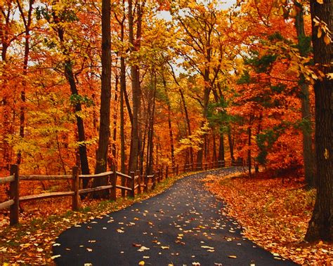 Cool Funny Pictures Wonderful Autumn Road Wallpapers