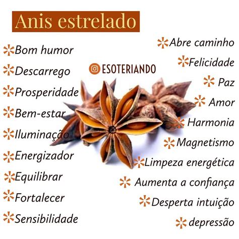 Anis Estrelado Para Que Serve Magia