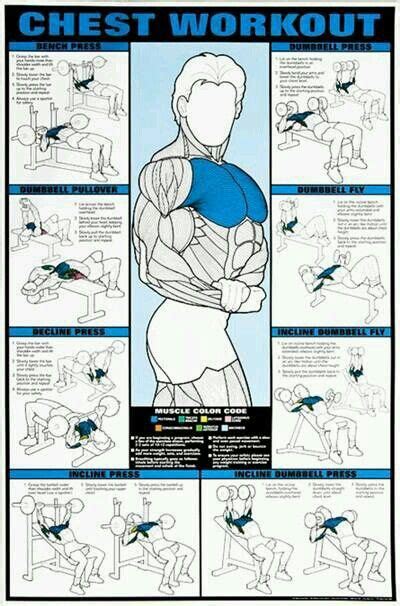 Chest Exercises S Collection Of 10 Chest Workouts Ideas