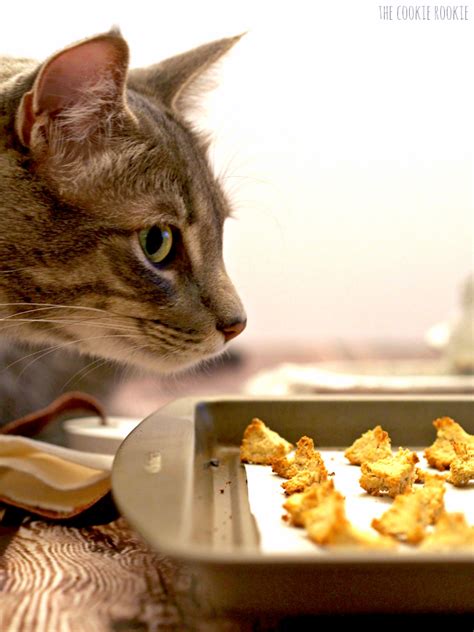 So throw on your apron and prepare for your kitty to pounce. Homemade Salmon and Catnip Cat Treat Croutons! My cat ...