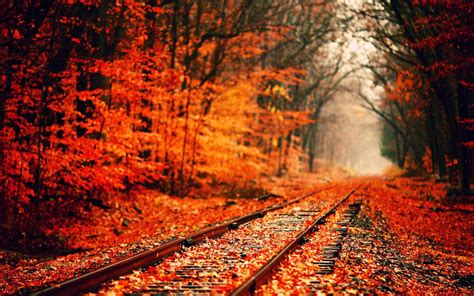 Happy Fall Backgrounds Images Of Fall For Desktop Hd Wallpapers