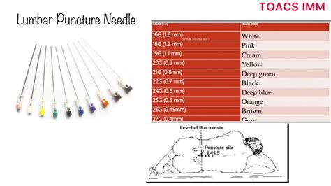 Lumbar Puncture Needle Sizes Of Spinal Needles View Lumbar Puncture