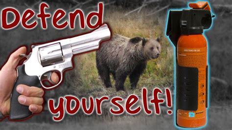 Bear Spray Vs Pistol Which Is Better For A Bear Encounter Tip