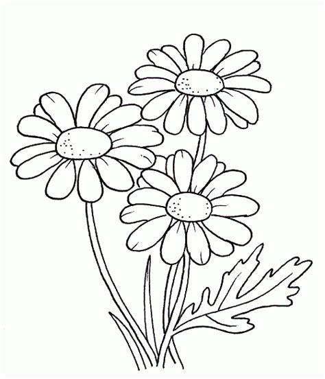 Blumen ausmalbilder für erwachsene kostenlos zum ausdrucken. Blumen 35 Ausmalbilder | Blumenzeichnungen, Blumen ...