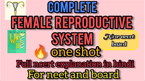 Complete Female Reproductive Systemfull Ncert Line By Line Explanation