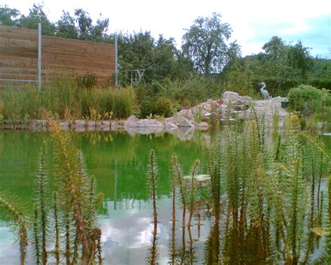 We did not find results for: Thomas Garten- u. Landschaftsbau GmbH